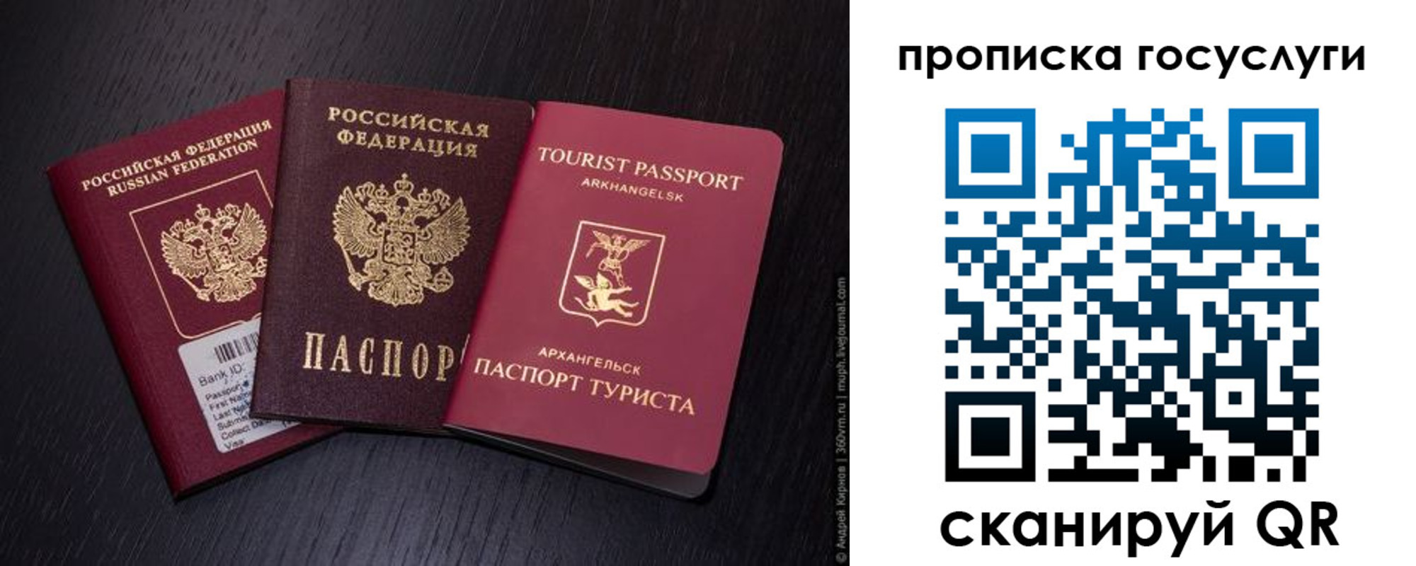прописка 2025 в Павлово